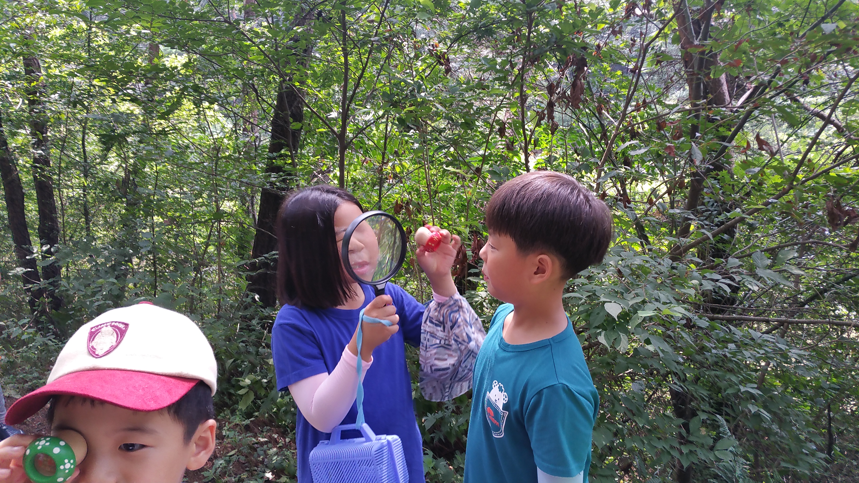 �̹��� 3:���ӿ��� �Ϸ�(���Ǳ��/����ڱ� ����) 8.1/8.10