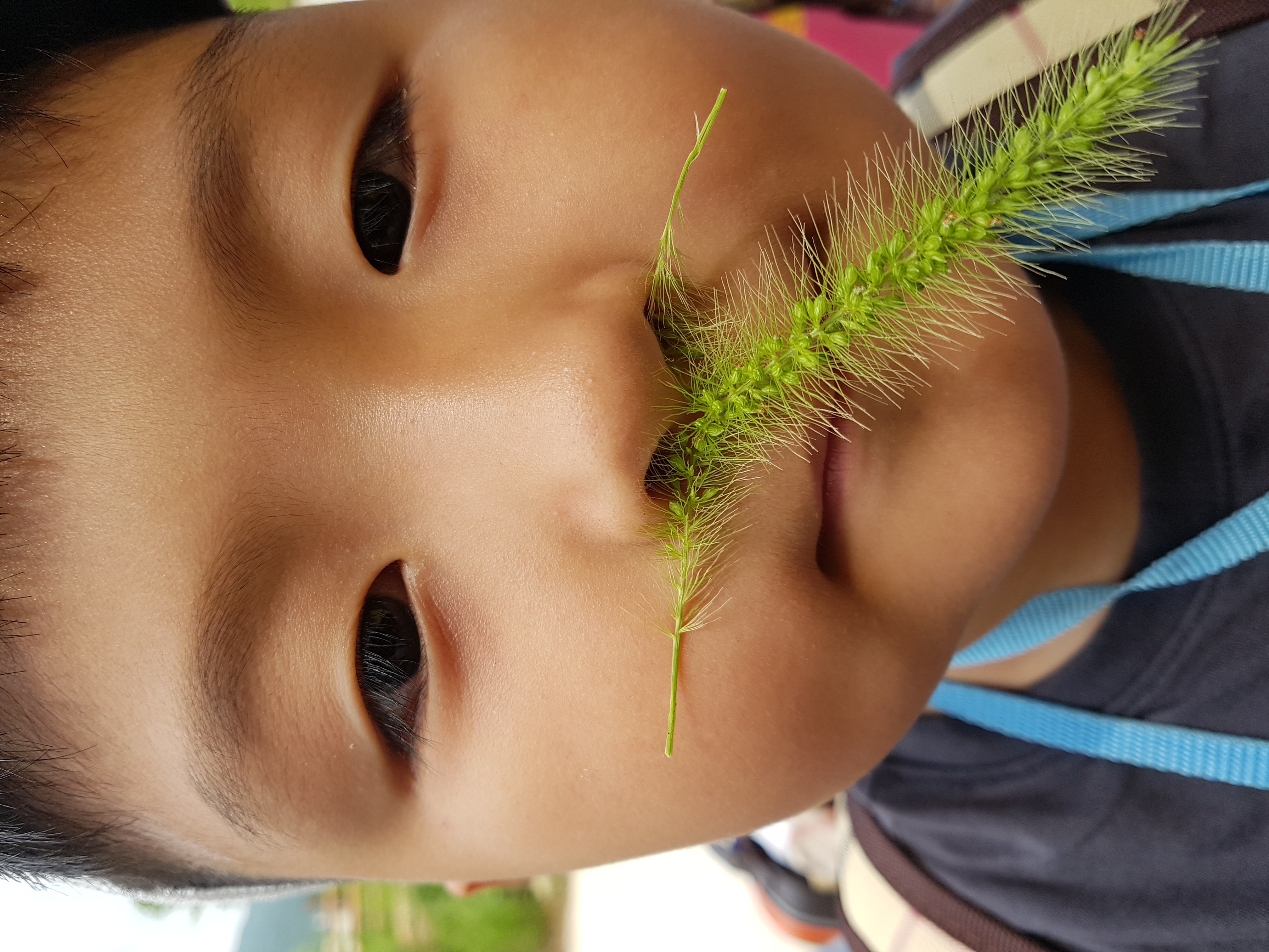 �̹��� 3:8.8 ��ü�豳��