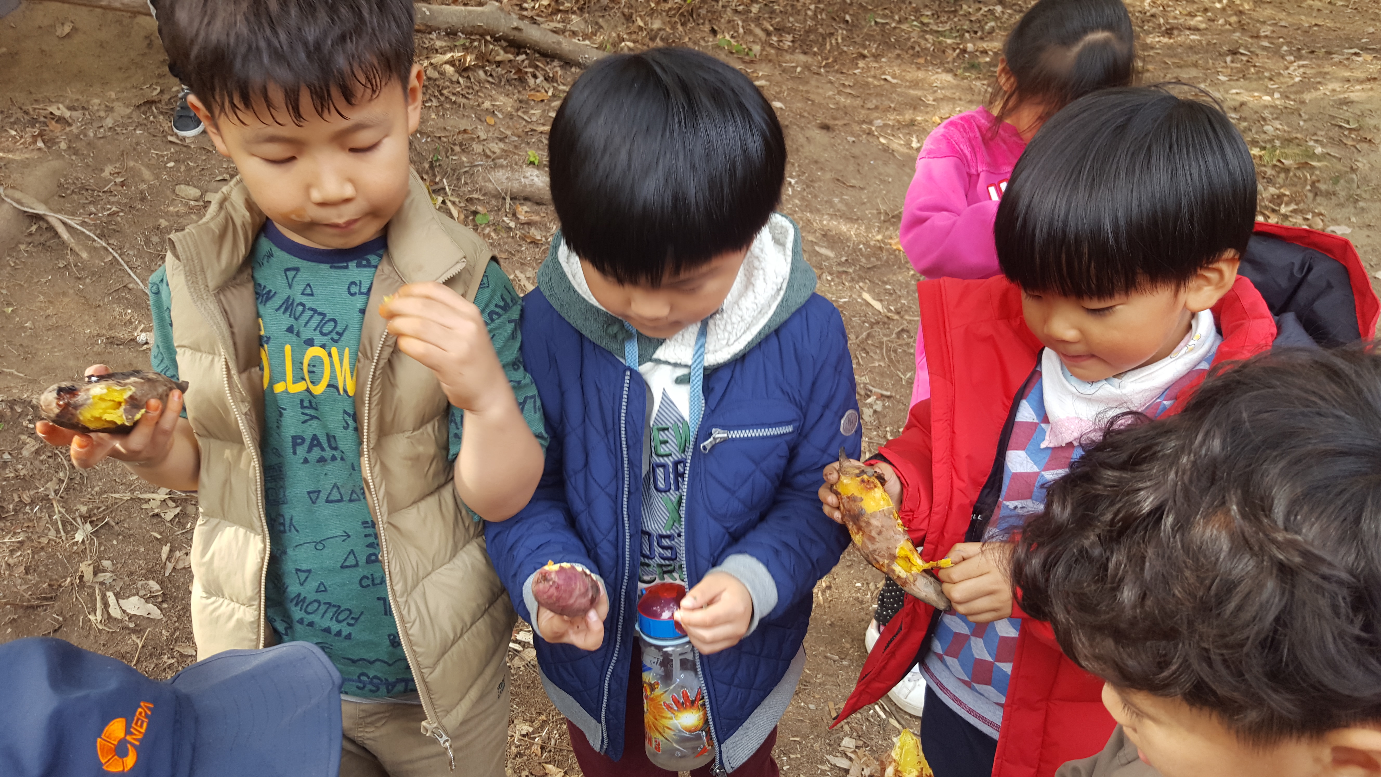 �̹��� 3:������ ����