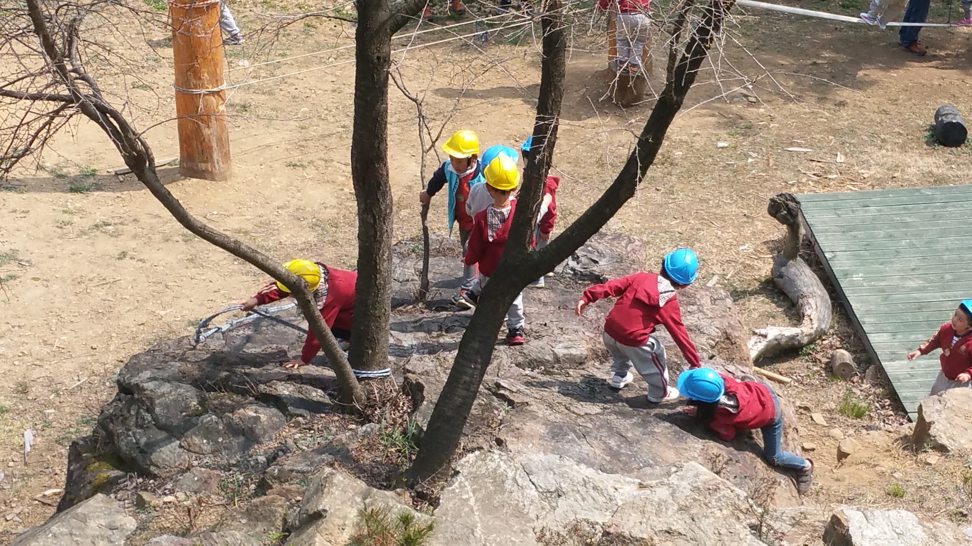 �̹��� 4:���Ǳ��(����ڱ�) ��ü�豳�����--������4ȸ��/2017.4.4