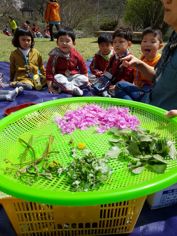 �̹��� 4:���Ǳ��(����ڱ�) ��ü�豳�����--������5ȸ��/2017.4.11