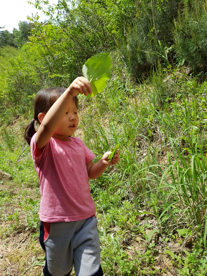 �̹��� 4:��ü�豳����� 2017.5.2