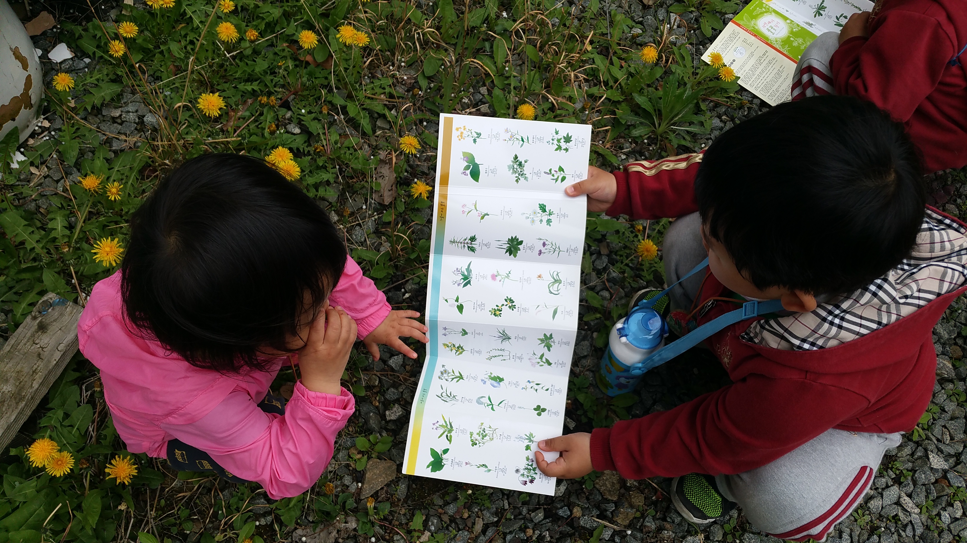 �̹��� 4:2017.4.18-��ü�豳�����