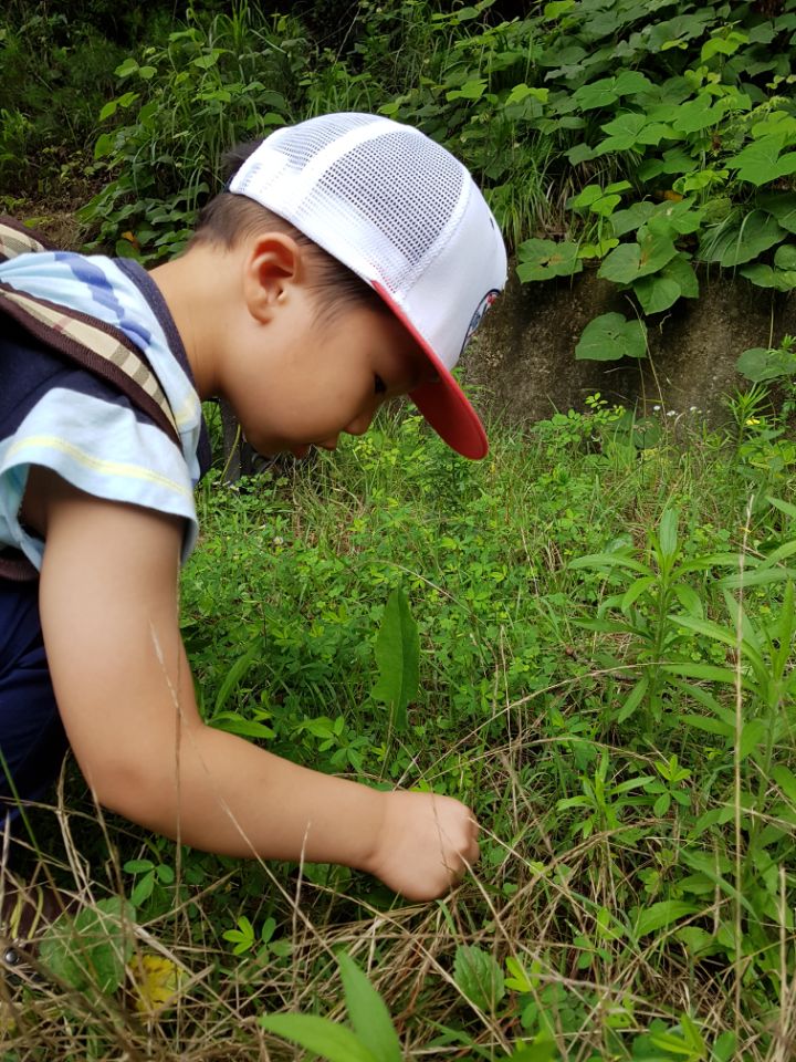 �̹��� 4:7.18 ��ü�豳�����