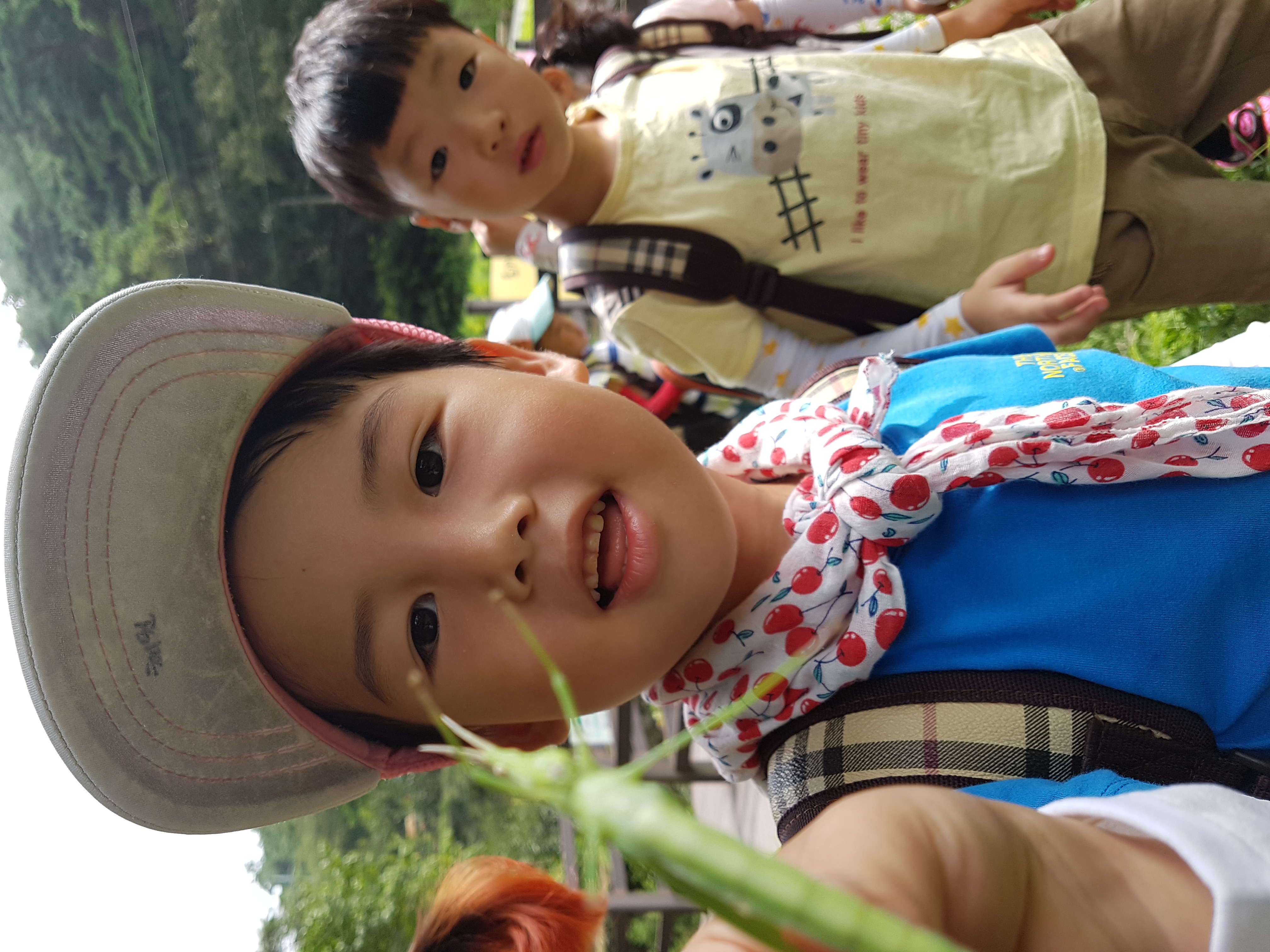 �̹��� 4:8.8 ��ü�豳��