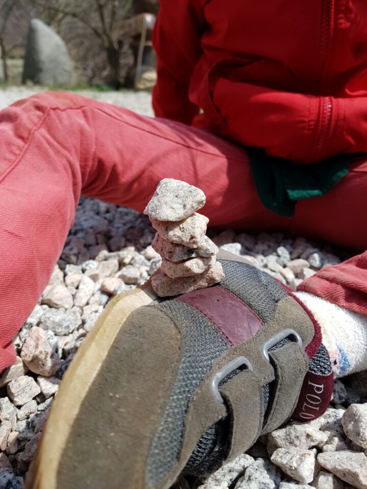 �̹��� 5:���Ǳ��(����ڱ�) ��ü�豳�����--������3ȸ��/2017.3.28