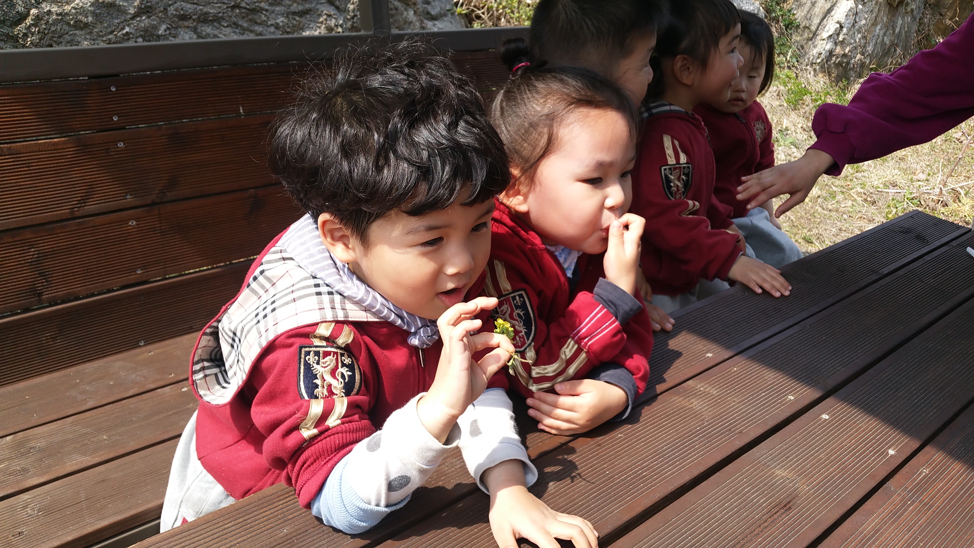 �̹��� 5:���Ǳ��(����ڱ�) ��ü�豳�����--������4ȸ��/2017.4.4