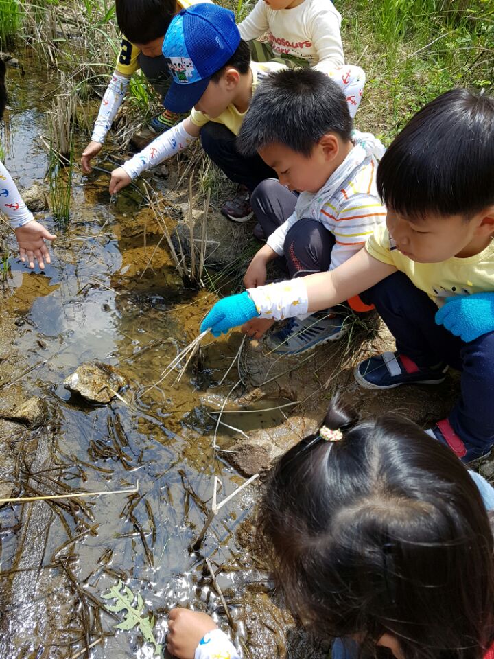 �̹��� 5:2017.5.16-��ü�豳�����