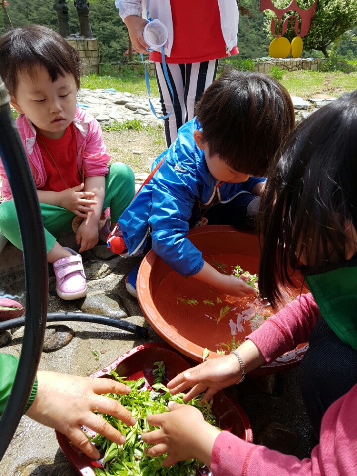 �̹��� 5:��ü�豳����� 2017.5.2