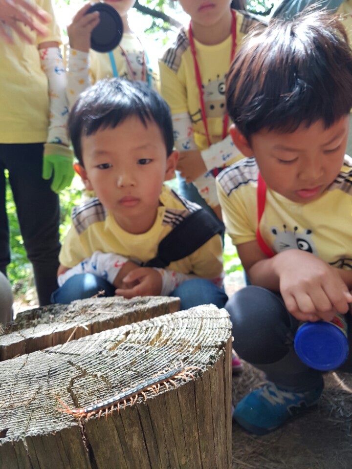 �̹��� 5:5.30-��ü�豳�����