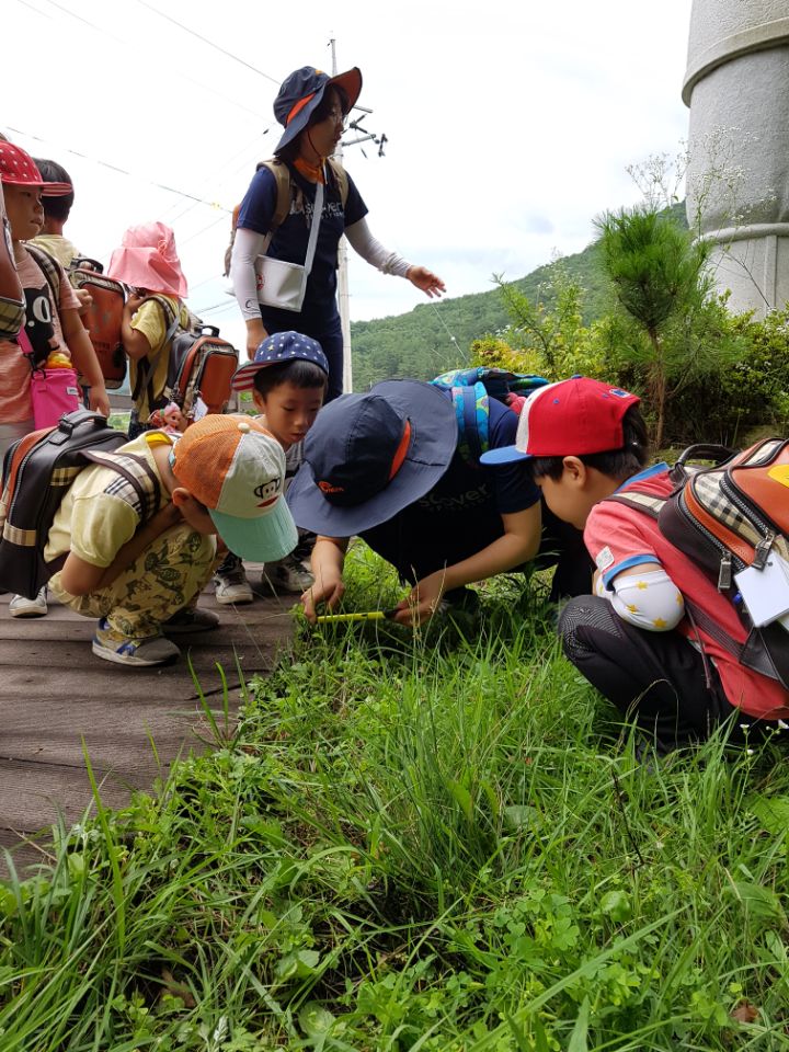 �̹��� 5:7.18 ��ü�豳�����