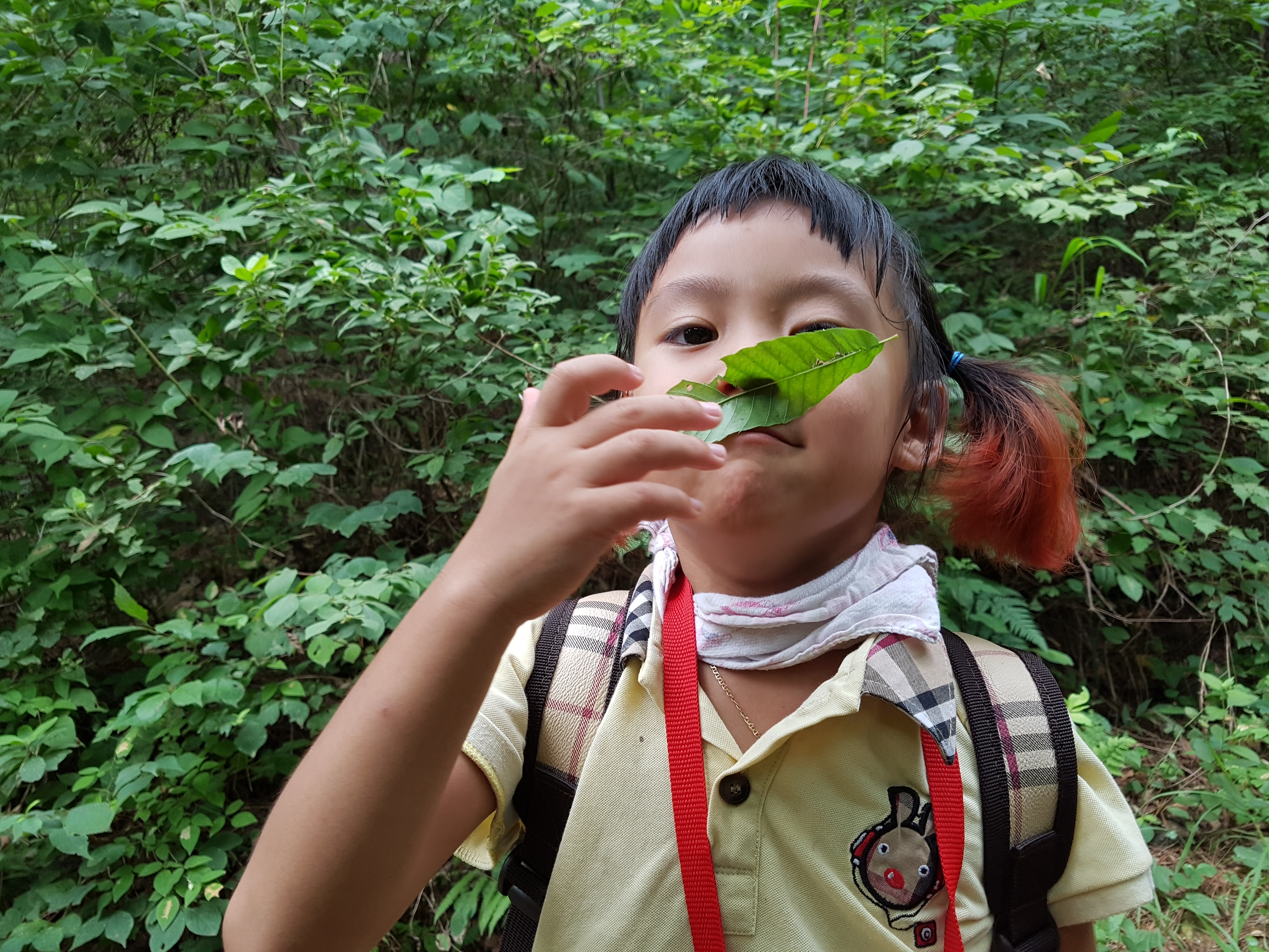 �̹��� 5:8.8 ��ü�豳��