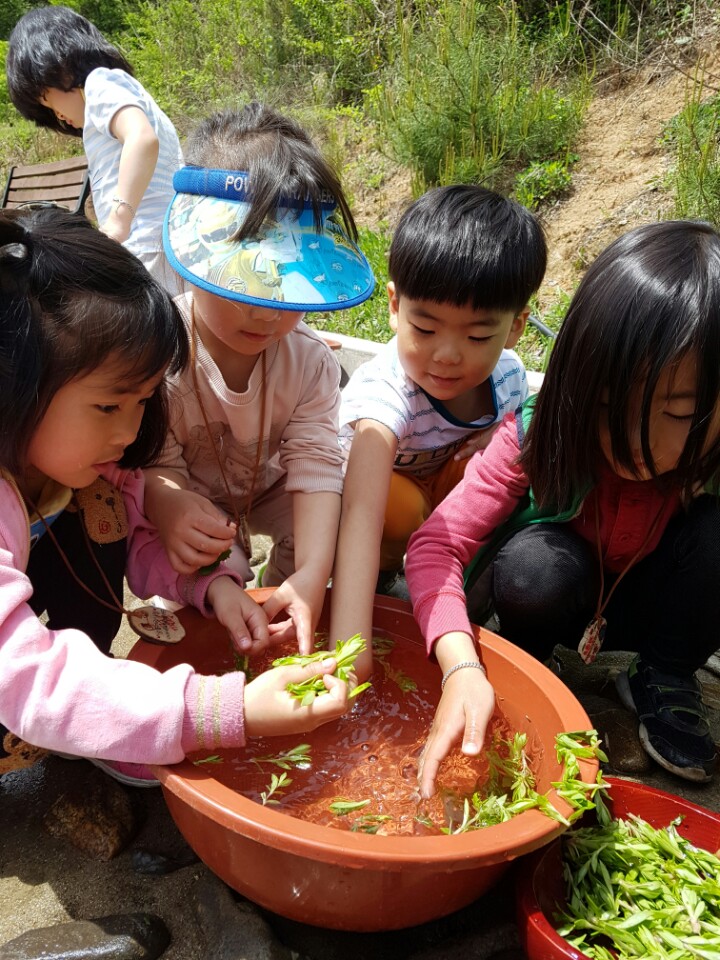 �̹��� 6:��ü�豳����� 2017.5.2