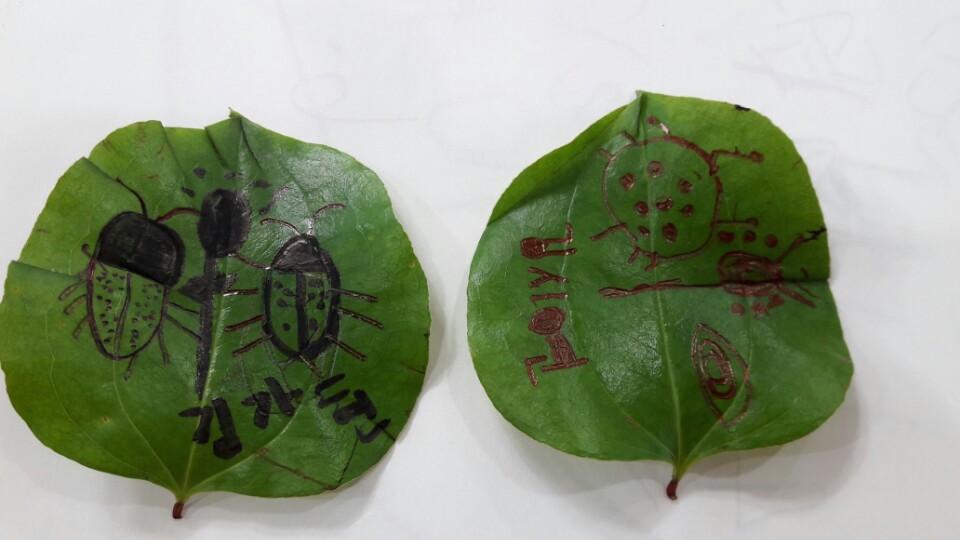 �̹��� 6:5.30-��ü�豳�����