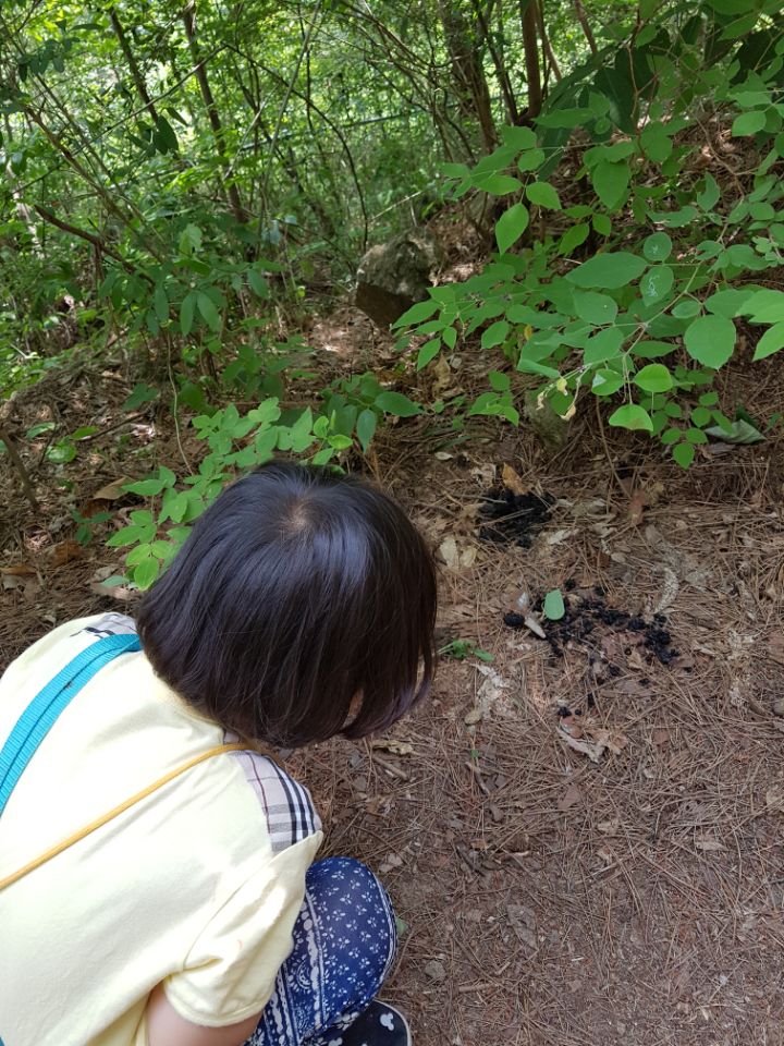 �̹��� 6:6.27 Ȱ�����