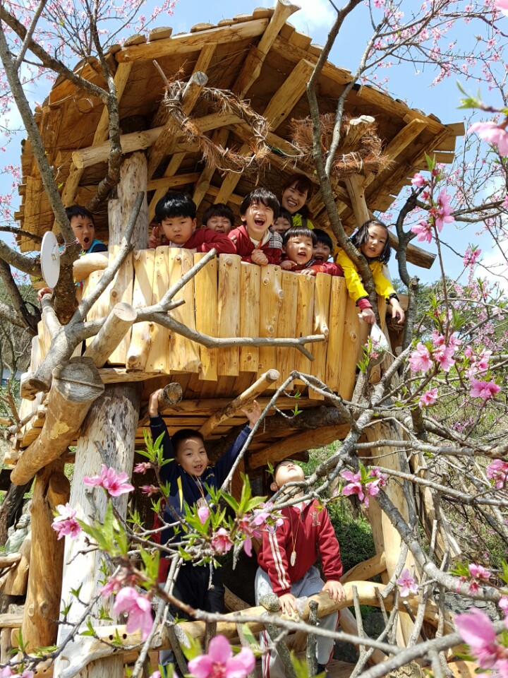 �̹��� 7:���Ǳ��(����ڱ�) ��ü�豳�����--������5ȸ��/2017.4.11