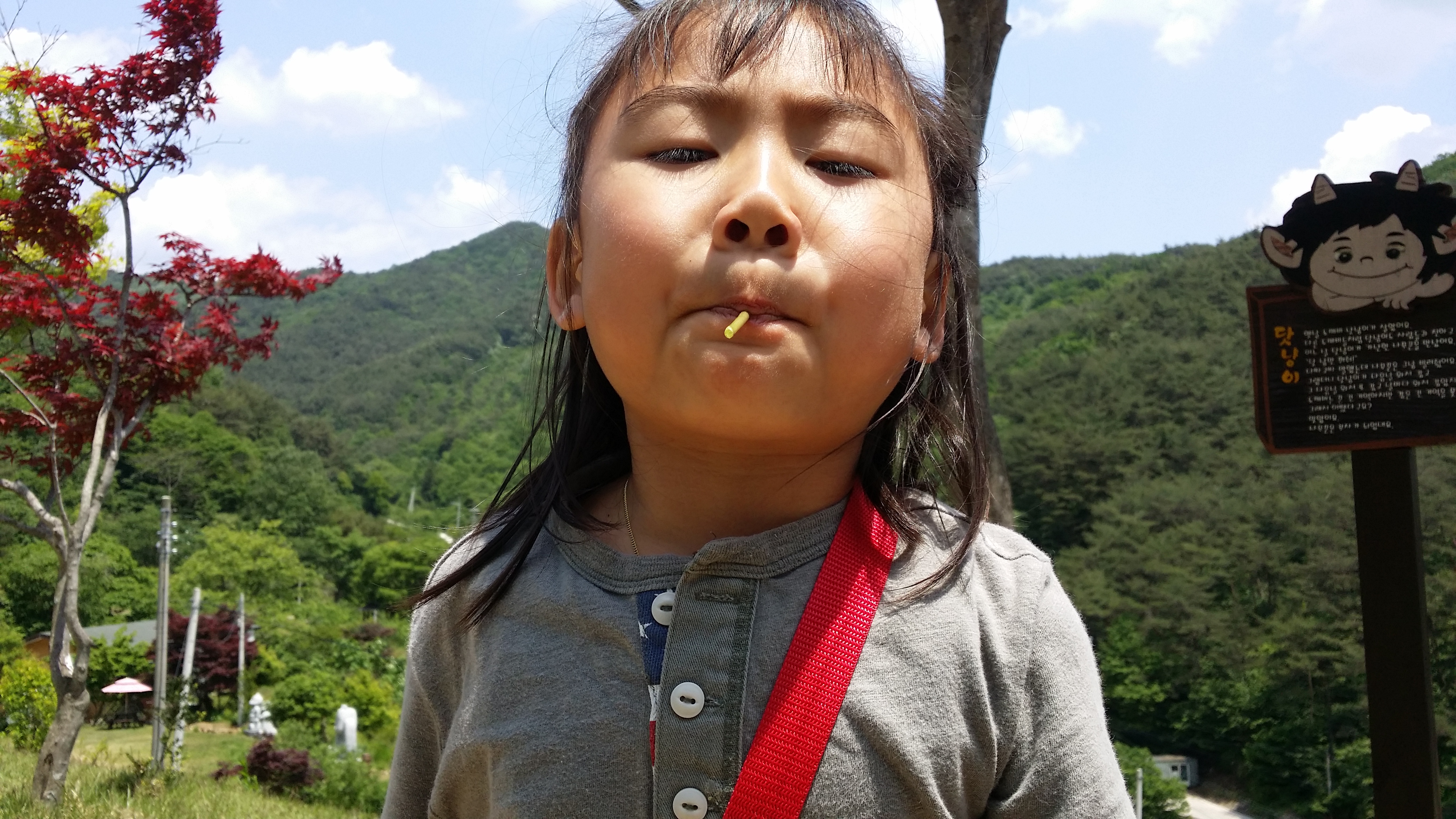 �̹��� 7:2017.5.16-��ü�豳�����