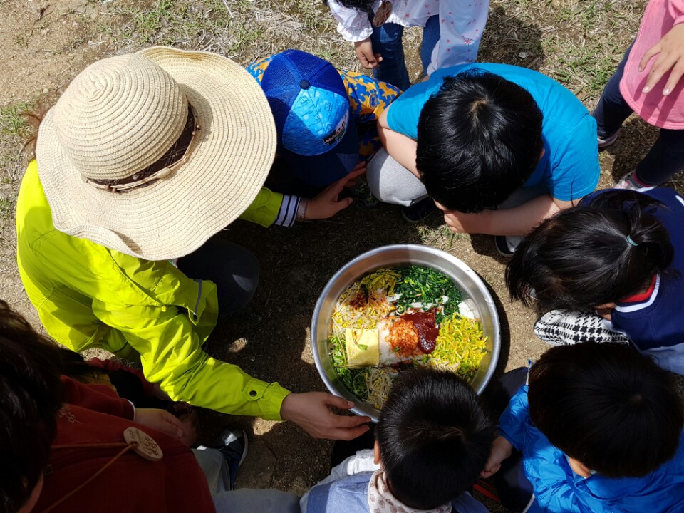 �̹��� 7:��ü�豳����� 2017.5.2