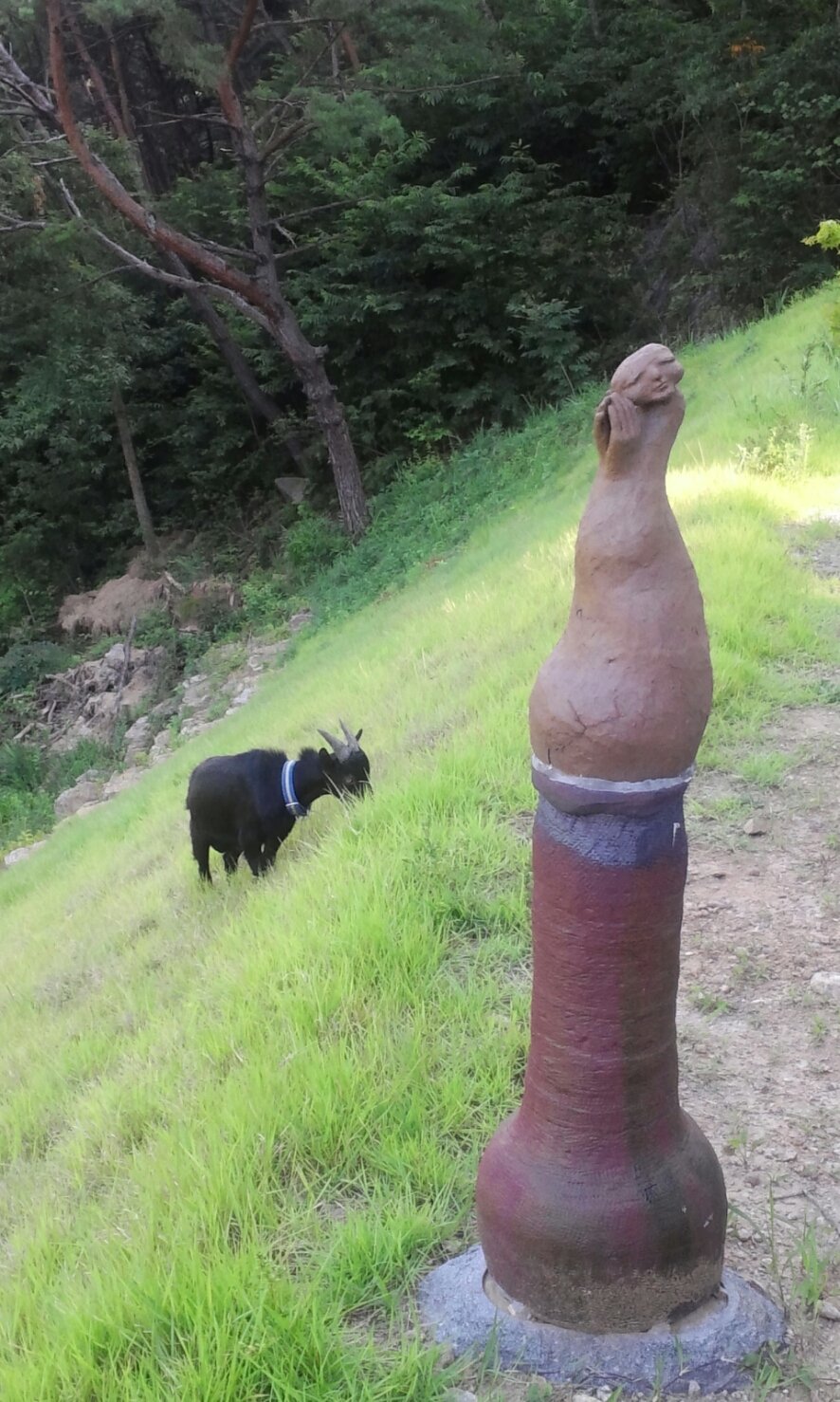 �̹��� 1:���ҿ� ������