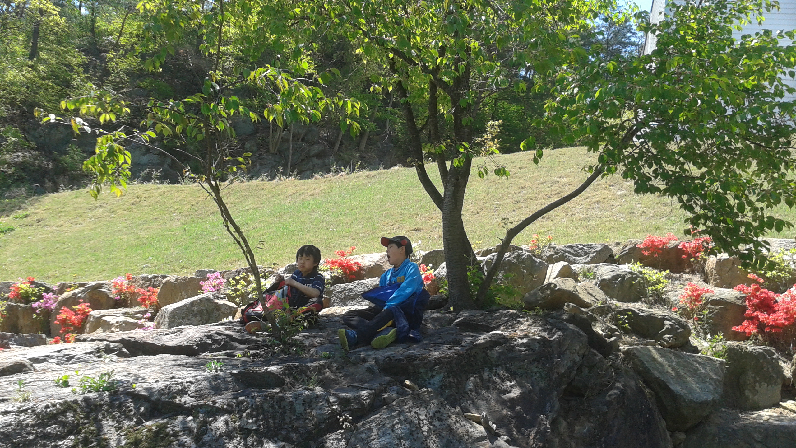 �̹��� 1:�������Ʒ�