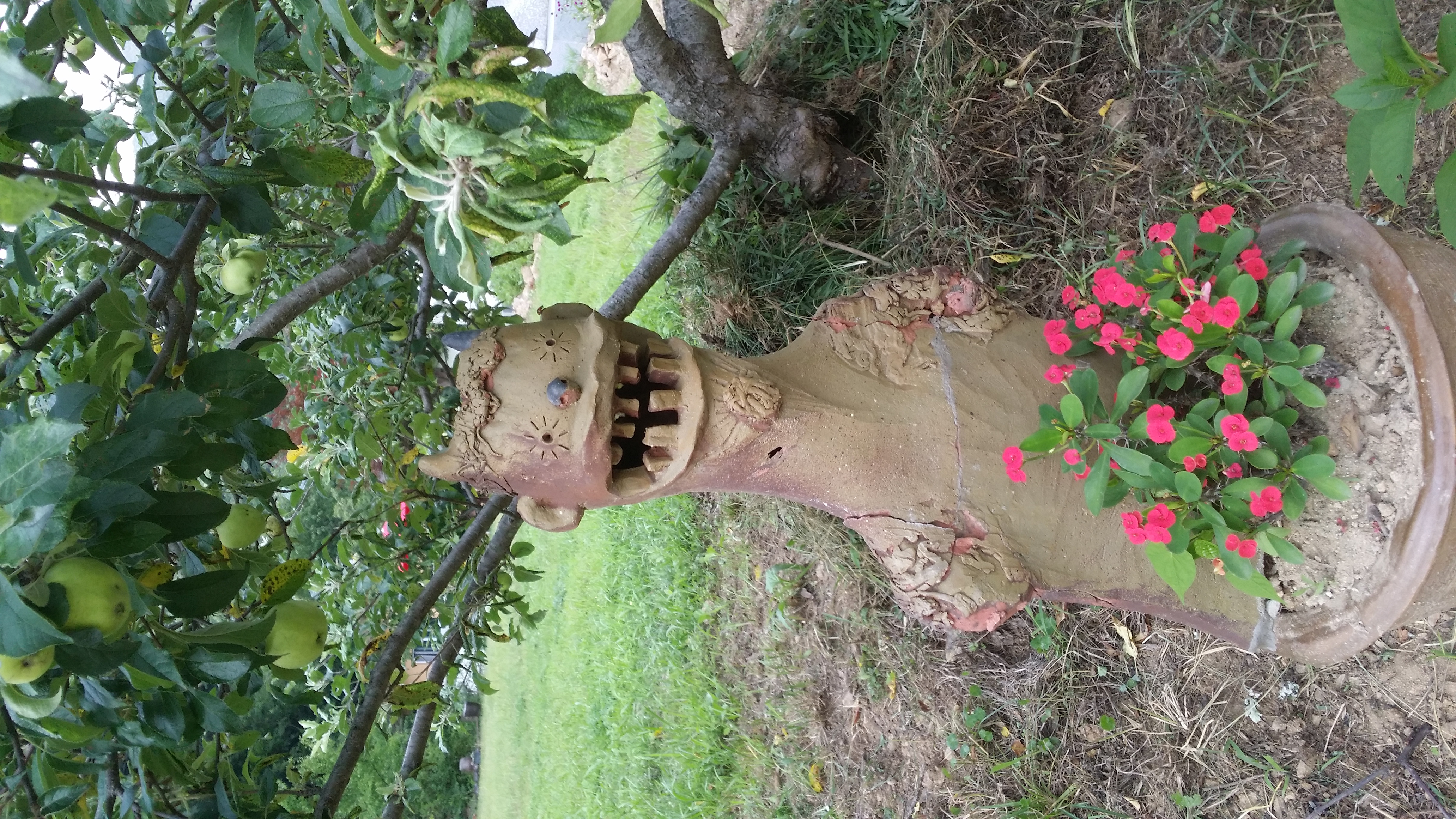 �̹��� 1:�̻��� ����