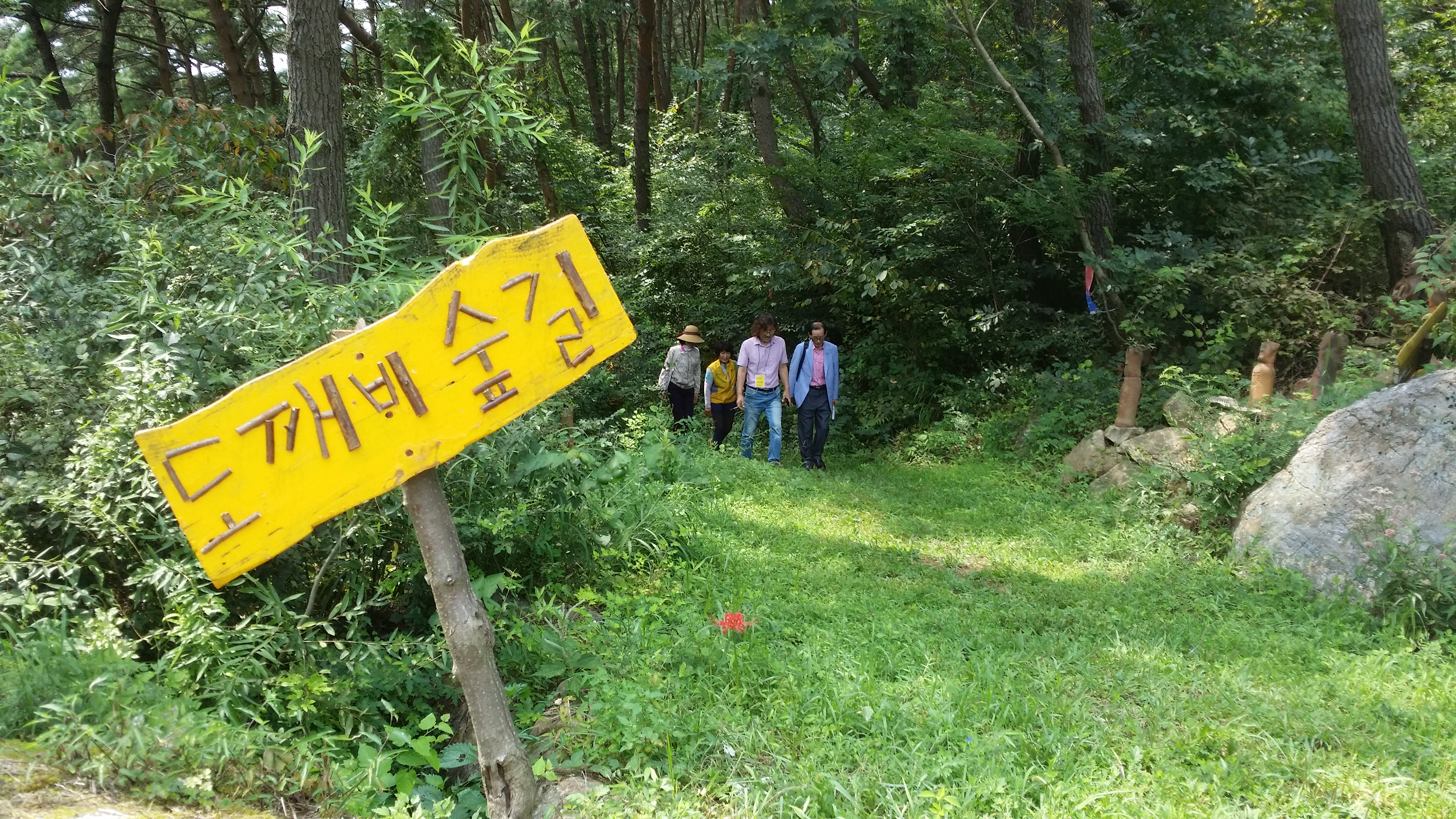 �̹��� 1:������ ����