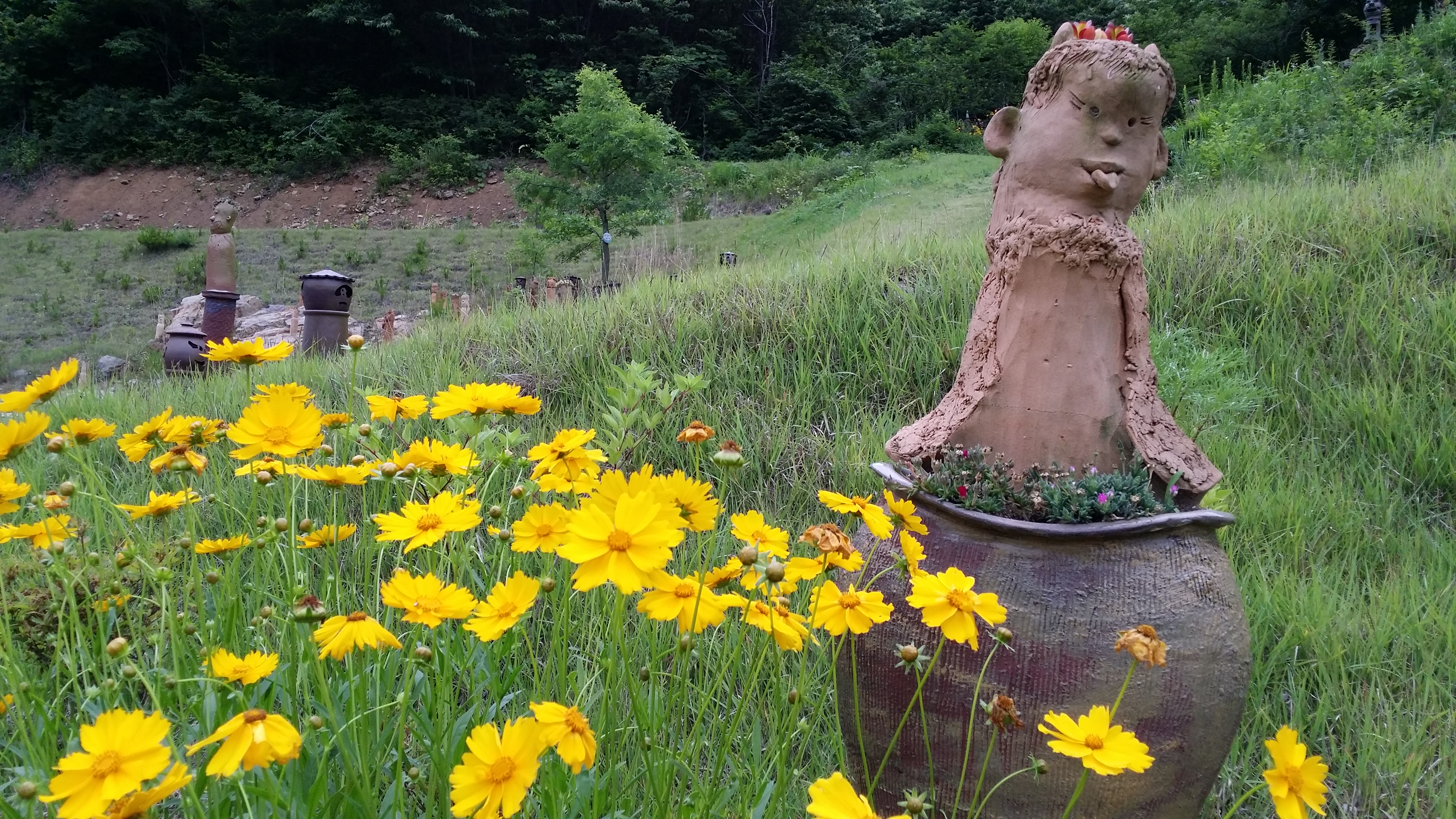 �̹��� 1:�޷�