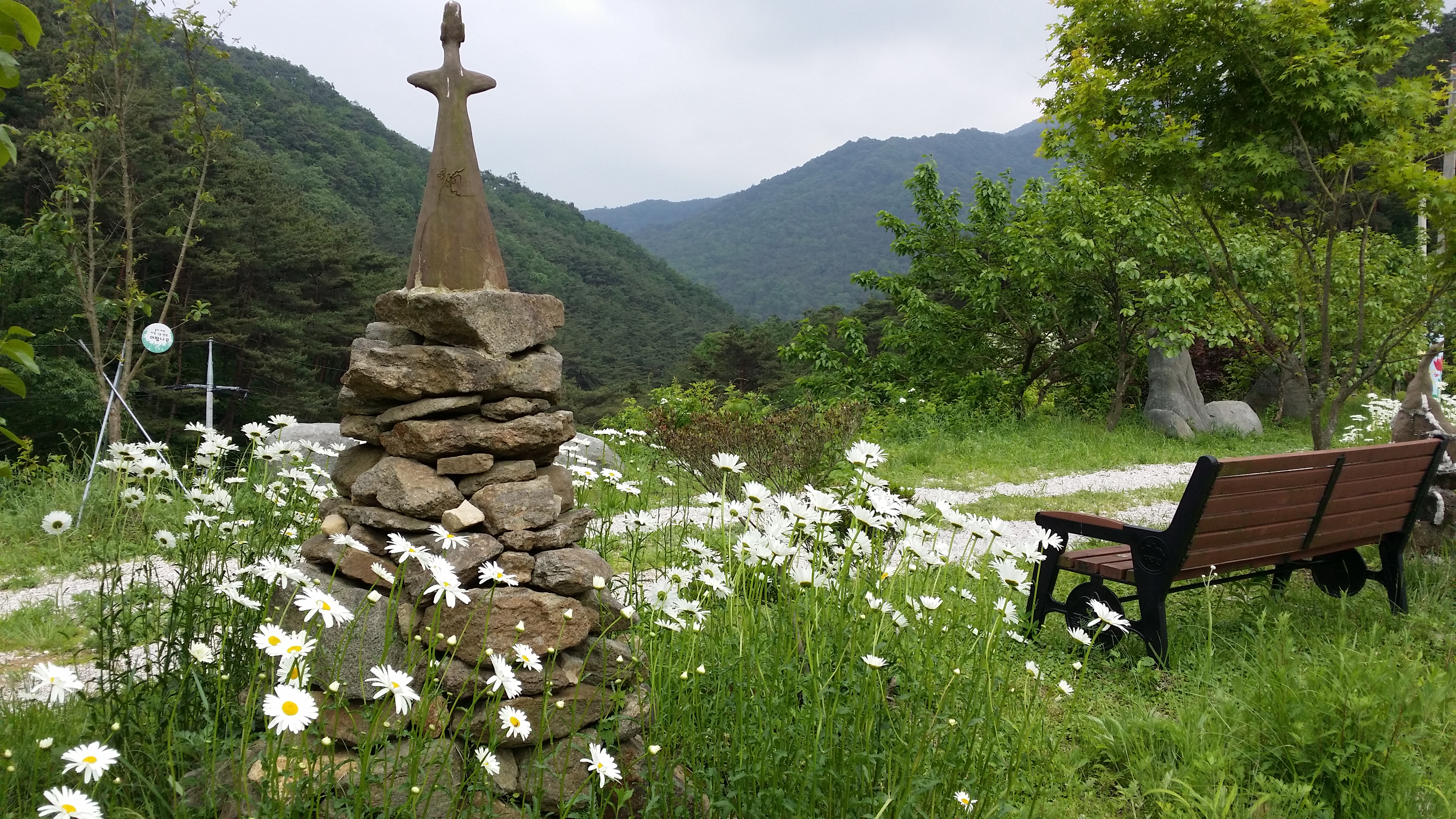 �̹��� 1:���