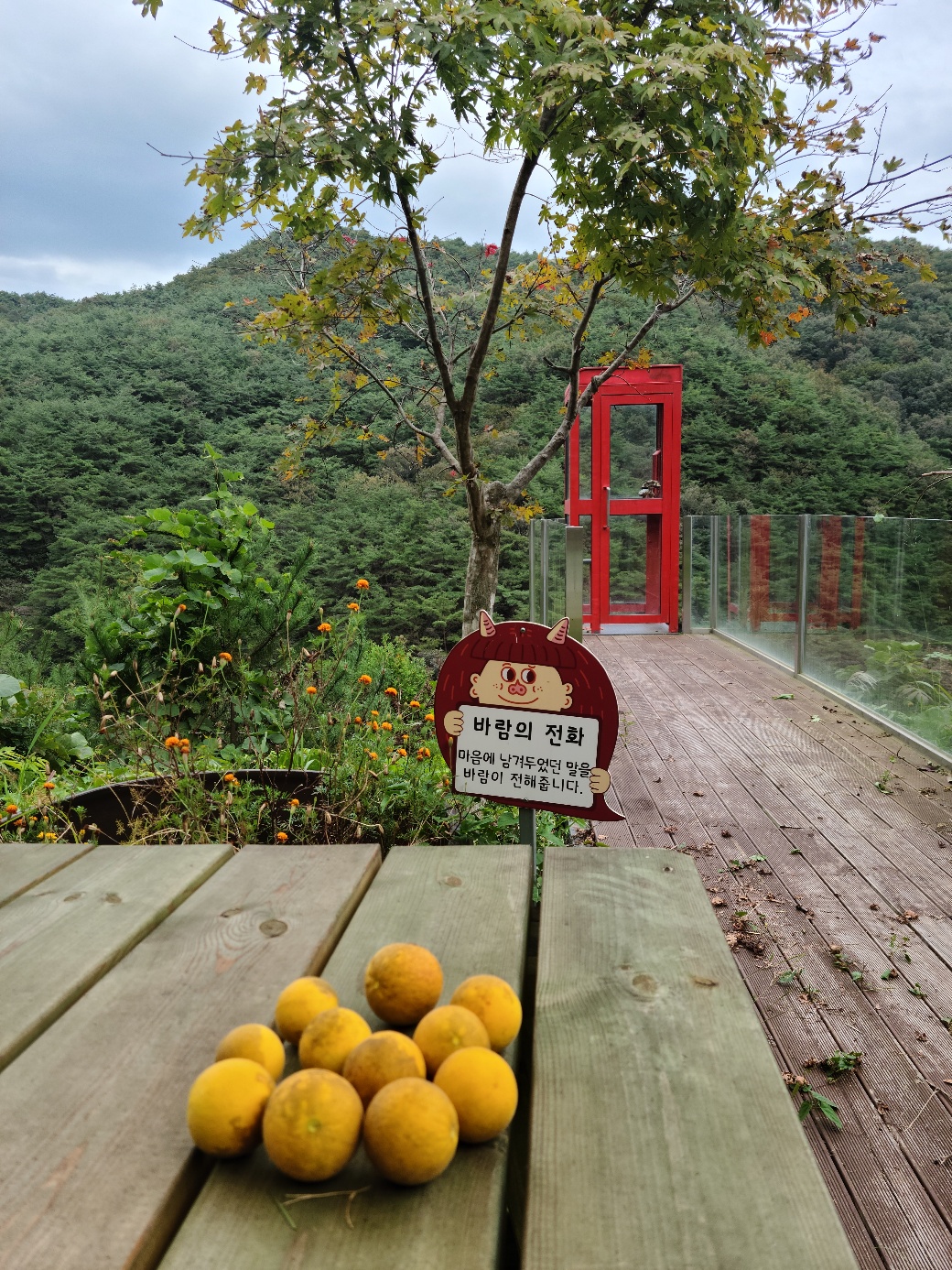 �̹��� 1:�ٶ��� ��ȭ