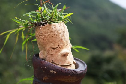 �̹��� 1:���� ������