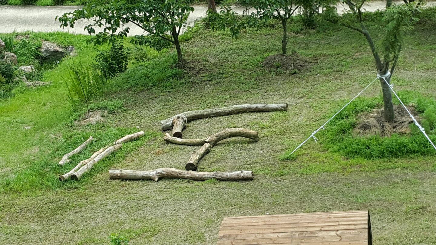 �̹��� 2:������ �����ٸ�