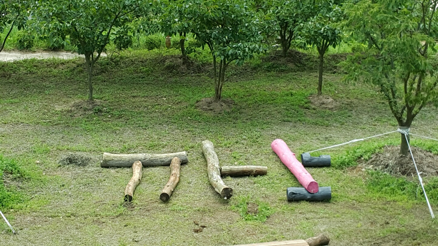 �̹��� 3:������ �����ٸ�