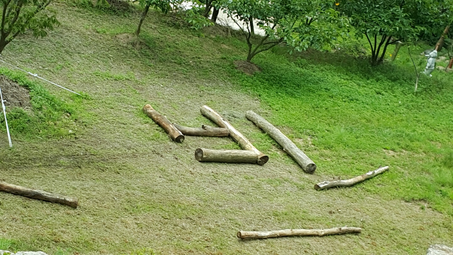 �̹��� 4:������ �����ٸ�