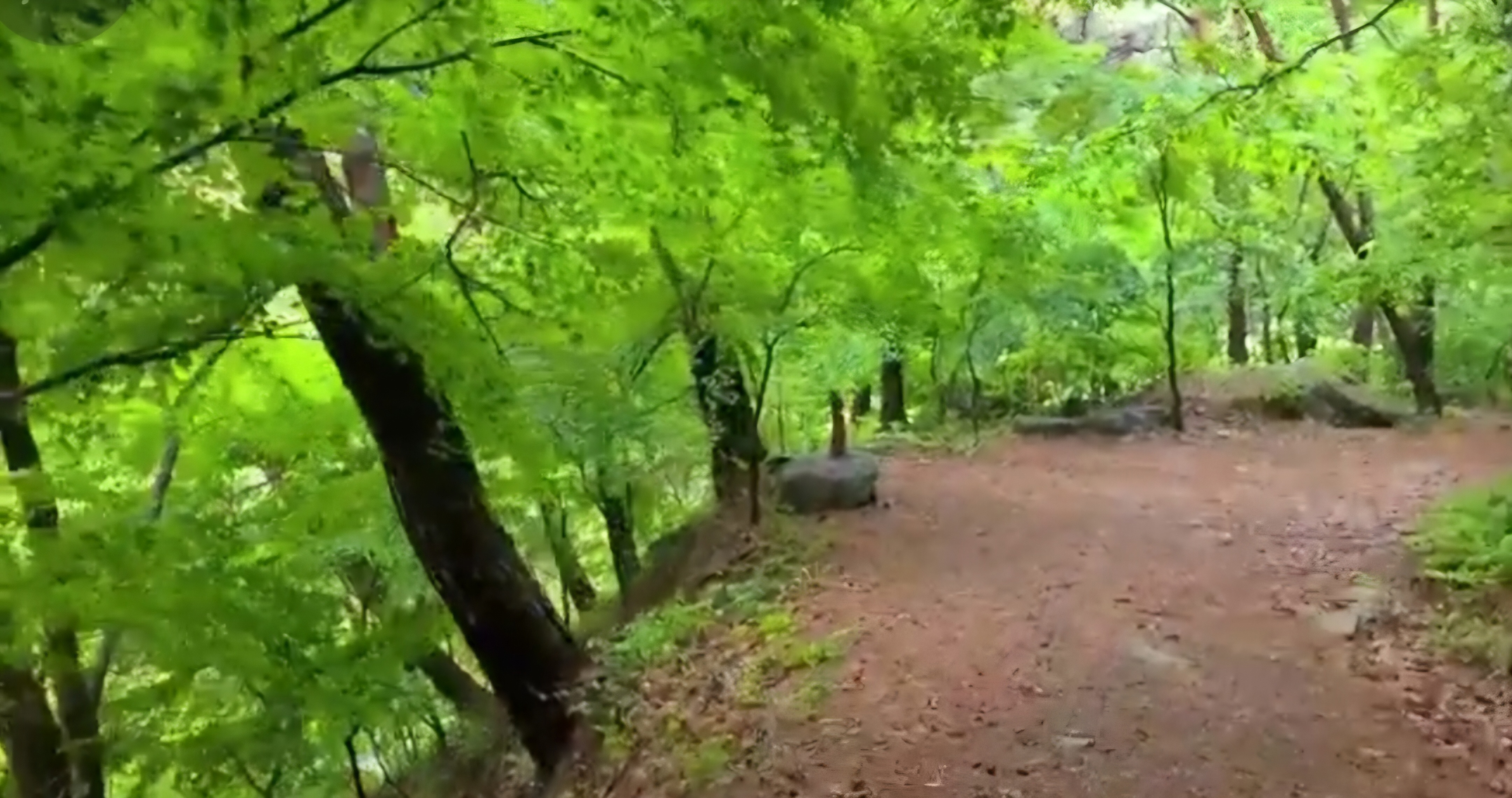 �̹��� 1:���Ժ��� �̻���